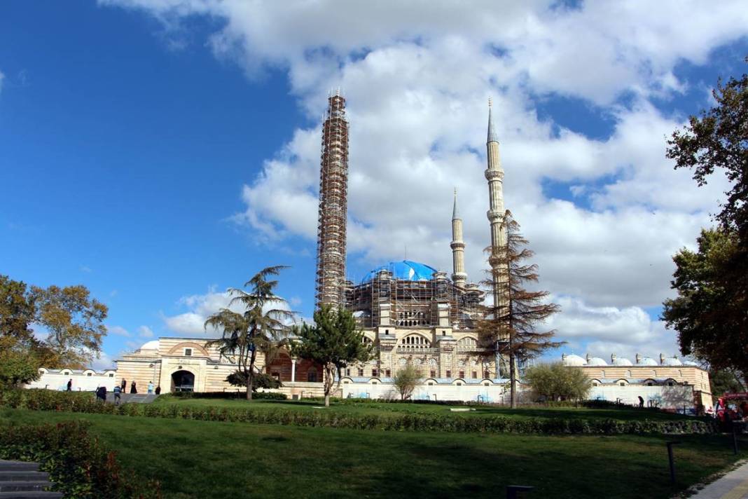 'Katil martı' paniği: Güvercinleri kurabiye gibi yiyorlar! 7